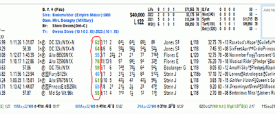 Beyer Speed Figures – How to Understand Them