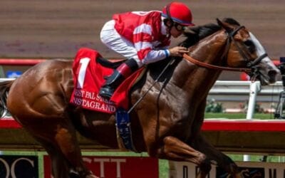 2019 Gotham Stakes Picks