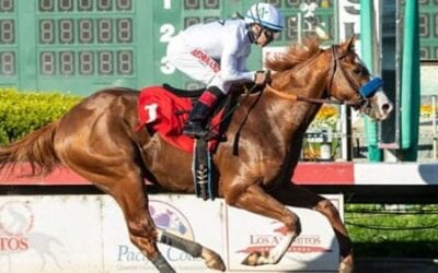 Rebel Stakes Picks – 2019 Derby Prep Race Analysis