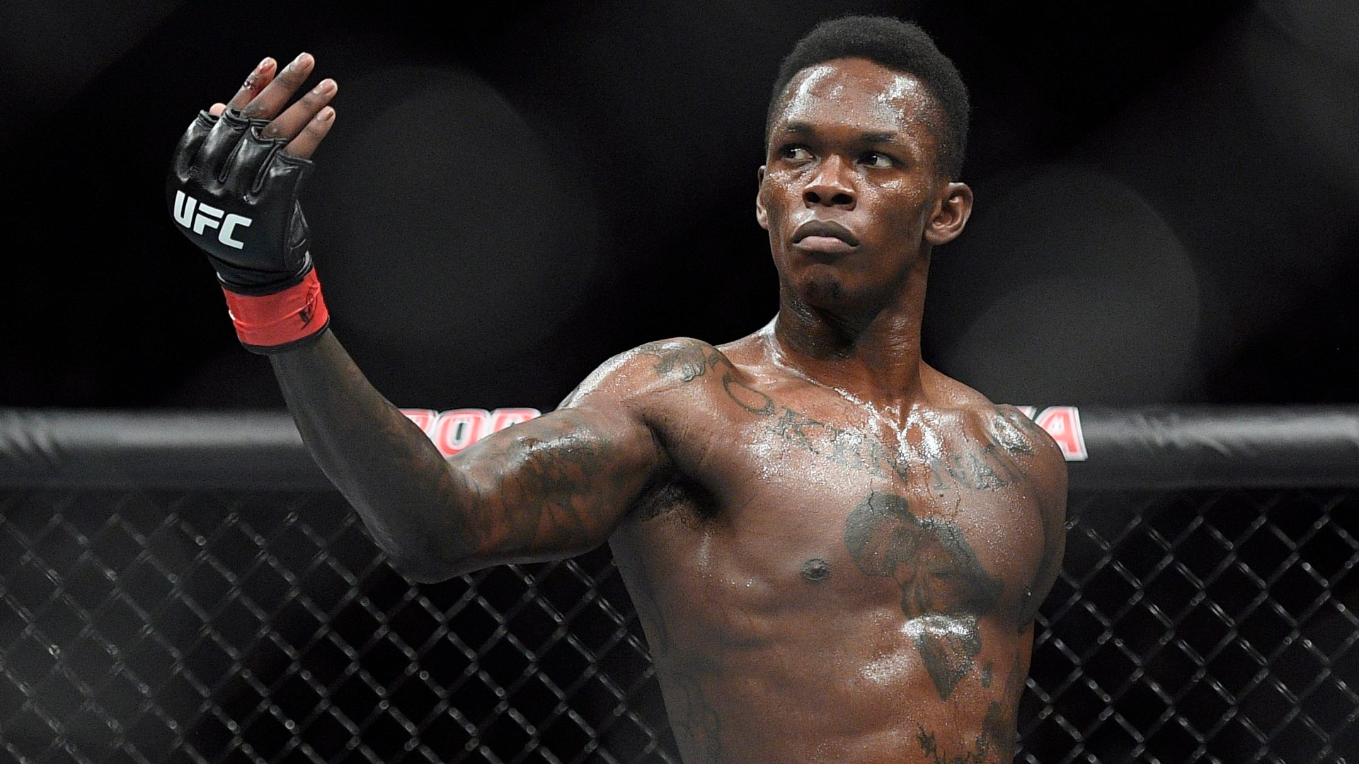 Israel Adesanya Pick