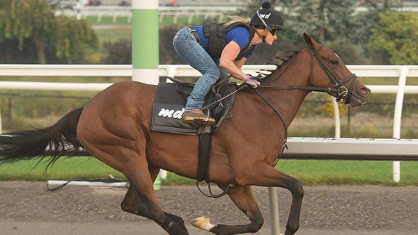 Hurricane Clair the Pick in Breeders’ Stakes, Side Street has Steal Chance