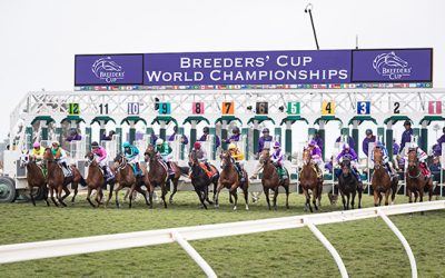 2024 Breeders’ Cup: Championship Racing Meets Ultimate Betting Opportunity