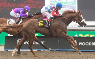 Improving Dresden Row the Pick to Upset in Saturday’s Autumn Stakes at Woodbine