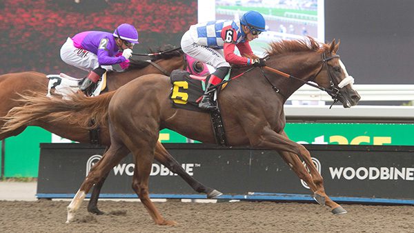 Improving Dresden Row the Pick to Upset in Saturday’s Autumn Stakes at Woodbine