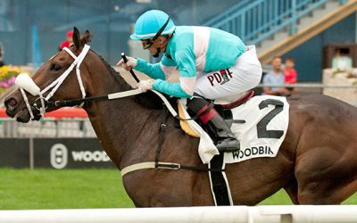 Betting Against the Favorite: La Prevoyante Stakes Picks