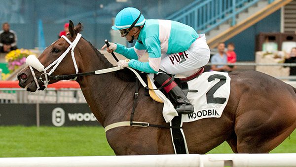 Betting Against the Favorite: La Prevoyante Stakes Picks