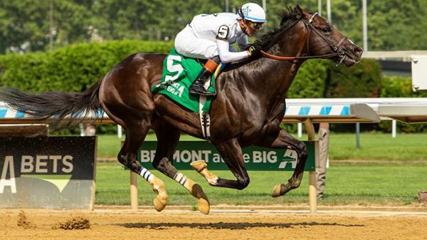 Mullikin, Post Time, Tough To Separate in Cigar Mile, Locked the Wildcard