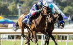 Stronghold is the pick for the 2024 Malibu Stakes