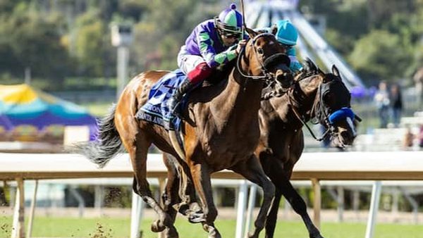 2024 Malibu Stakes Preview & Analysis & Picks