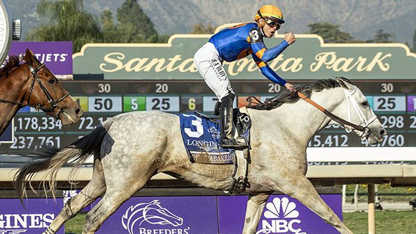 Expert Pegasus World Cup Picks: Best Bets and Longshot Predictions